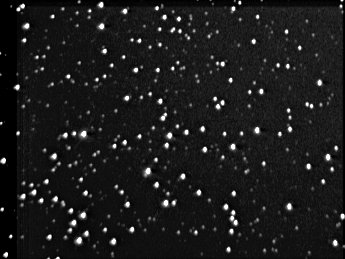 M38 - Open Cluster in Auriga (monochrome)