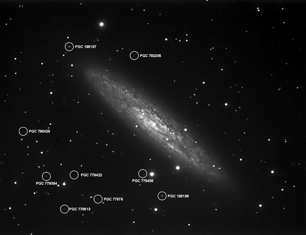 NGC 253 - The Sculptor Galaxy